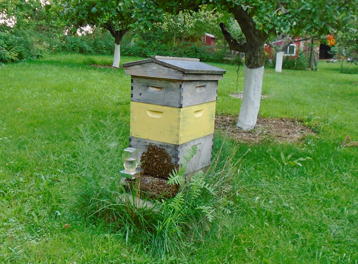 congested-hive-traffic